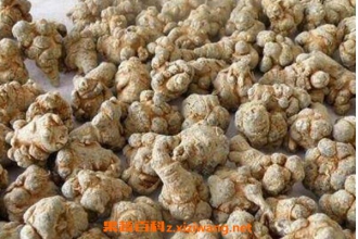 �������ݾƵĹ�Ч������ �������ж�����νⶾ