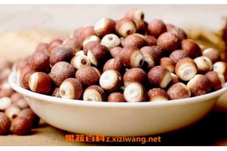 ��ʵ�Ĺ�Ч������ ��ʵ�Ľ���