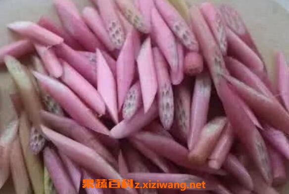 ź������ô�� ź���ӵ������̳�