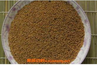 ��˿����ˮ�ȵĹ�Ч������ ��˿����ˮ�ȵĽ���