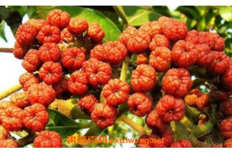 �����Ǻ�ɽ���ǵ�����