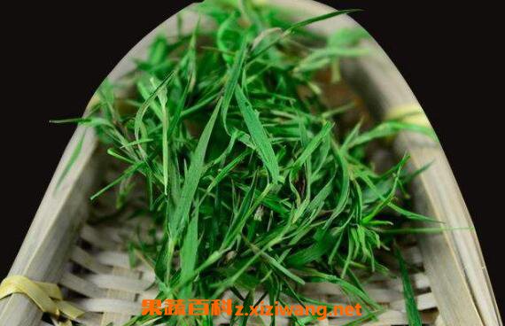 ʯ�������� ʯ���ӻ������������