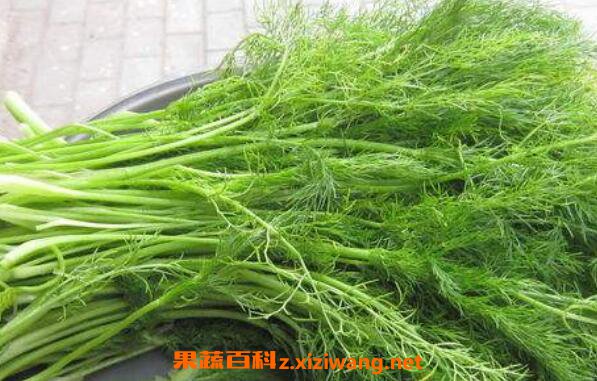 ����С����Ĺ�Ч������ С���㸱����