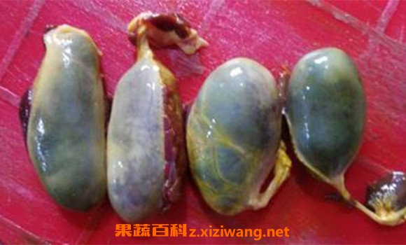 ����֭��