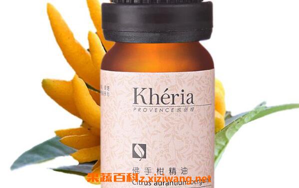 ���ָ̾�����ôʹ�� ���ָ̾��͵Ľ���