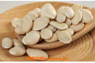 �ױⶹ�Ĺ�Ч������ �԰ױⶹ�ĺô�