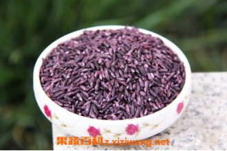 ���׵ĸ���������Щ ����ʲô�˲����Գ�