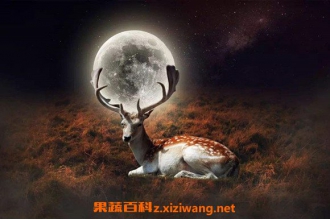 ¹��Ѫ�۵Ĺ�Ч������ ¹��Ѫ�۵Ľ���