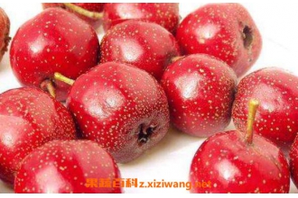 ��ɽ髹��Ĺ�Ч������ ����ɽ髹��ĺô�����Щ