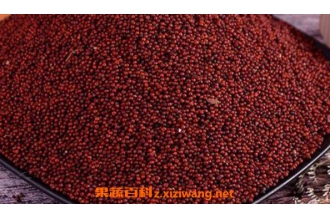 ��������ô�� �����׵ĳԷ��̳�