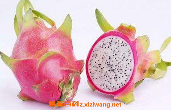 ��������Ƥ��ʲô�� ������Ƥ��ô��