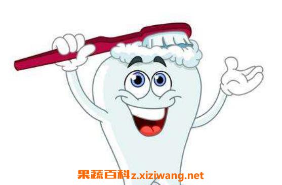 ˢ���ݵ���ȷ���� ��ȷˢ������ͼ��