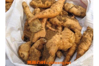 ���ػ���ô��ˮ�� �ػ���ˮ����ʲô�ô�