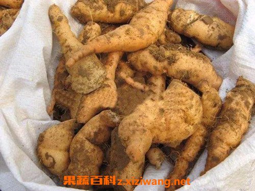 �ػ�