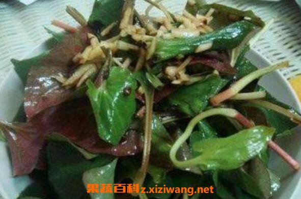 ު����ô�� ު�˵�ʳ�÷���