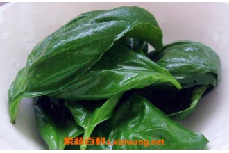 ����Ҷ�Ĺ�Ч������ ����Ҷ�ĳԷ�