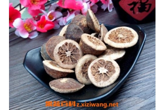 ���ǵ������빦Ч ���ǵ�ҩ�ü�ֵ����Щ