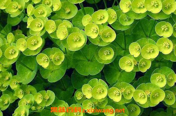 ��·��Ҫ��ô�� ���Թ�·����ֳ����