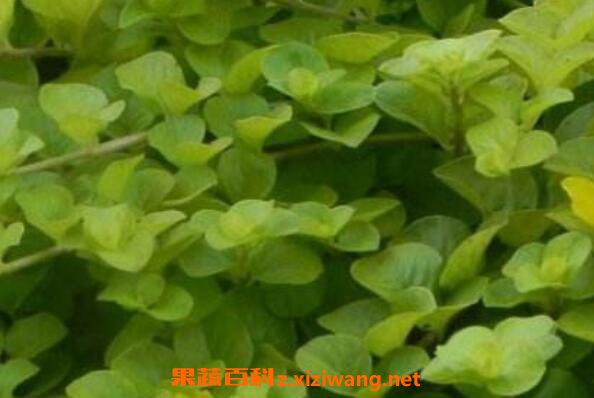 ��·��Ҫ��ô�� ���Թ�·����ֳ����