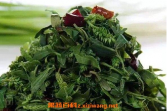 ����ѿ�������빦Ч �Կ���ѿ�ĺô�