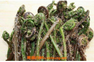 ާ�˺ͺ��ȵ����� ��ާ�˵ĺô�