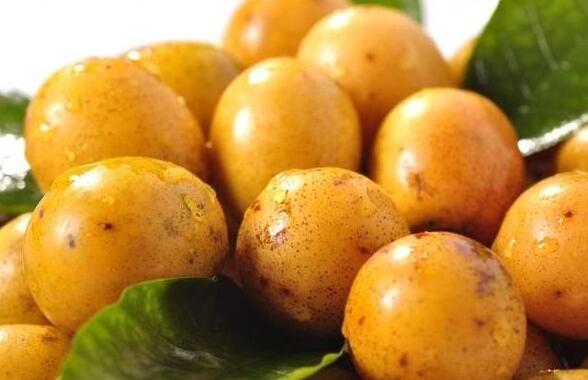 ������Ĺ�Ч������ ������Ľ���