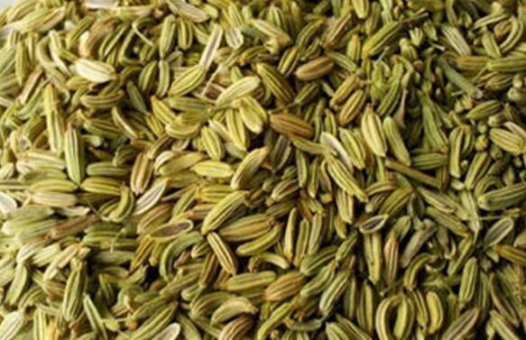 �������Ѻ�С�����ѵ�����