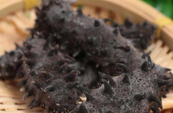 �ɺ�����ôʳ�� �ɺ��ε�ʳ�÷���