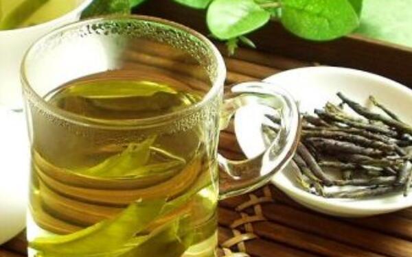 苦丁茶树的功...... <a href=
