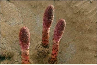 �����ݾ���ô�� �����ݾƵ������̳�