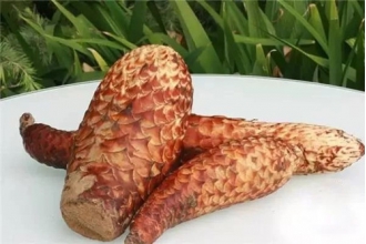 �������ݾƵĹ�Ч������ �������ؾ�����Щ�ô�