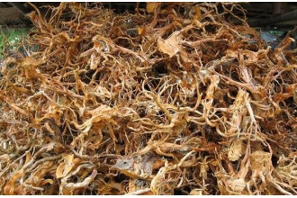 �ž���Ĺ�Ч������ �ž���Ľ���