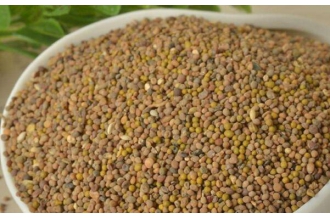 ��˿�ӵĹ�Ч������ ��˿�ӵĸ�����