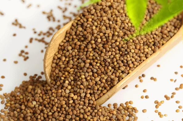 ��˿�ӵĹ�Ч������ ��˿�ӵĸ�����