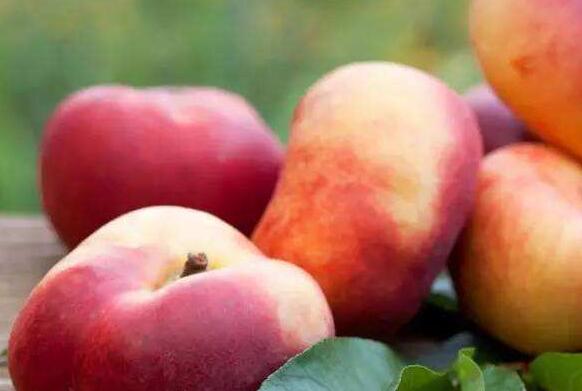 ��ҵĹ�Ч������ ��ҵĽ���