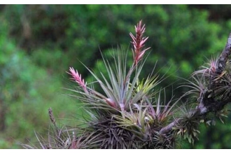 ����������ô�� ����������˵�Σ��