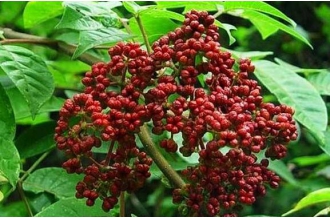 �����ǵĹ�Ч�����ü�������