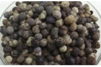 ����ӵĹ�Ч������ ����ӵ�ҩ�ü�ֵ