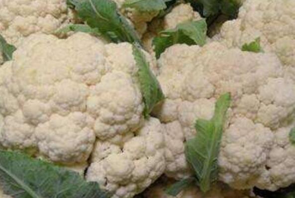 ��Ұ�˵Ĺ�Ч������