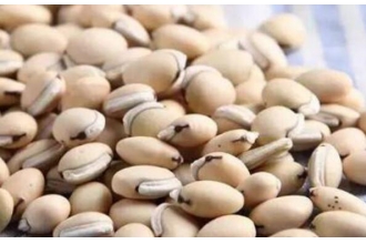 �ױⶹ��ҩ�ü�ֵ�빦Ч �ױⶹ�ĸ�����