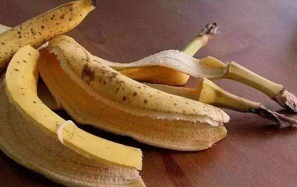 �㽶Ƥ��ô�ԲŶ� �㽶Ƥ��ʳ�÷���