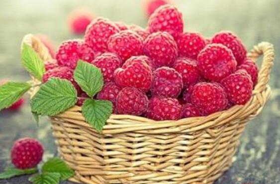 ��ҩ�����ӵĹ�Ч������