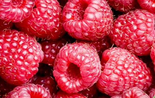 Ұ�������ӵ������빦Ч