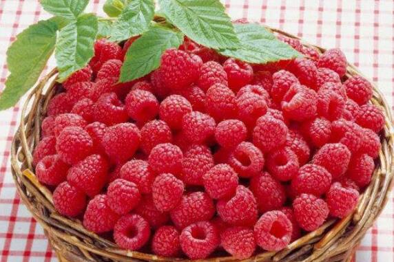 ��ݮ�͸����ӵ����� ��ݮ��ô��