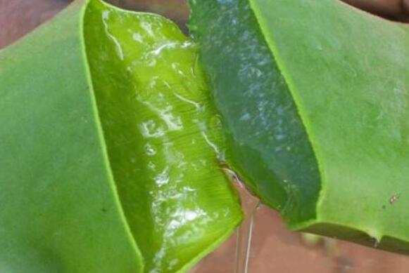 «��֭Һ�Ĺ�Ч������