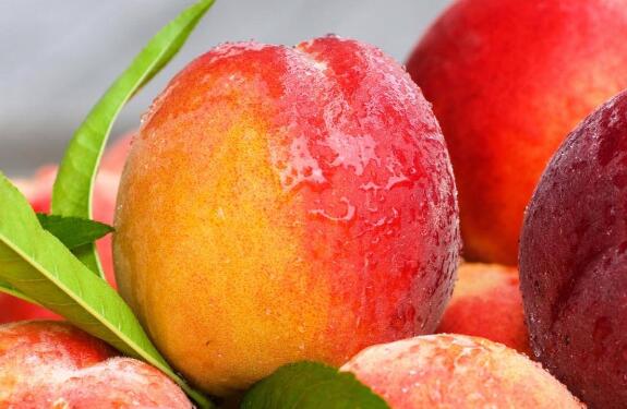 ˮ���Һ�ë�ҵ����� ��ˮ���ҵĺô�