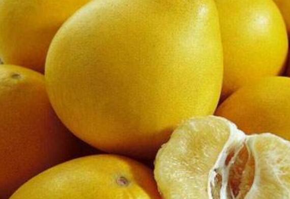 �ĵ������ӵ����� �����ӵĺô�