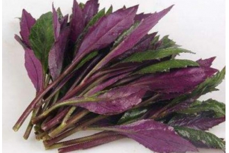 ��Ѫ�˵Ĺ�Ч������ �Բ�Ѫ�˵ĺô�