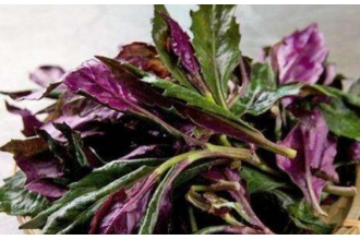 ��Ѫ�˵ĸ���������Щ �Բ�Ѫ�˵Ľ���