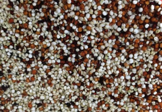 ��ɫ޼����ô��ó� ��ɫ޼�����ȷ����